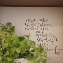 벌떼미인클럽 네이버블로그