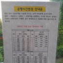 신일여객 313번,313-1번 배차시간표 이미지