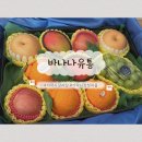 킹청과 | 가락시장 청과시장 과일 맛집 바나나유통 설날 명절 선물 내돈내산 추천 후기