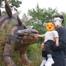 멍멍이와 야옹이 | 국립과천과학관 유아체험관 후기 | 예약팁 &amp; 루트 총정리