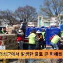 전국 기관단체들, 영덕 산불 피해지역 봉사활동 줄이어 이미지