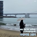 부산살이 2년 종료 후 애견동반 부산여행 2일차