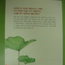 중용으로 배우는 삶의 지혜 이미지