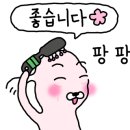 심플리트윙클 이미지