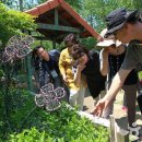 원주허브팜식물박물관 이미지