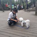 한국체육관 이미지