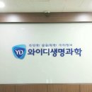 블루와이디