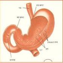 8체질(八體質,Eight-constitution medicine) 이란 ? 이미지