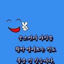 쉼표 Daum카페