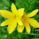 만수교 주변 이미지