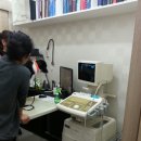 제이엘동물병원 이미지