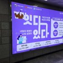 애드하임플러스