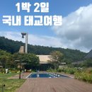 펫하우스 동물병원 | 노산 임산부의 &#39;애견 동반 태교여행&#39; 후기 (태교여행 시기와 주의사항+가평 아난티 코드 펫룸)