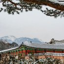 국립민속박물관 이미지