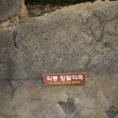 화석 2002 이미지