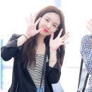 데칼코마니 이미지