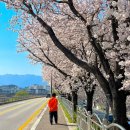 남대천제방길 이미지