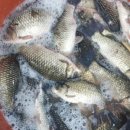 토종약초건강원 이미지