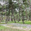 영주호오토캠핑장 이미지