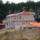 중국아줌마닭집 이미지