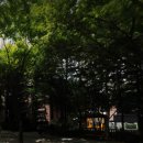 퇴계어린이공원