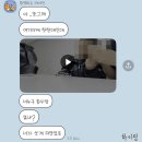 카페오잇