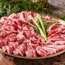 벧엘애견 | 일산호수공원 맛집 제주돗날 일산동구맛집 모임장소 메뉴추천