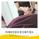 온바디앤두피