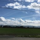 에비뉴여성의원 이미지