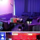 뉴티파니라이브 - 24436 | 뉴티파니라이브