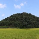 화령중학교 이미지