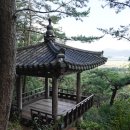 읍내길 | [전남 진도] 3일차: 진도에서 해남, 그리고 완도까지_26년2월16일(내돈내산)