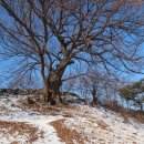 아산영인지맥2구간(오성엘레스티ㅡ배티고개)6 이미지