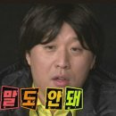 오징어와친구들 이미지