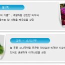 동암차돌학교 이미지