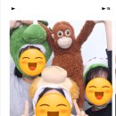 세끼돈 이미지
