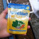 냥냥미장원 | 짱남매에게 선물 받은 파우치, 반짝이와 길냥이들 시식 후기 :D