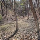 산양농장 이미지