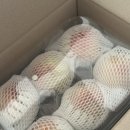 라이온코리아 주식회사 | [정보] 1만원대 추석 선물, 2만원대 추석 선물 위시리스트 | 가벼운 추석 선물 | 추석 선물 뭐사지? 🎁