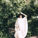 프로페셔널투어(주) 이미지