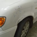 오토스킨 이미지