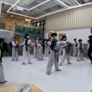 국가대표 태권도 이미지