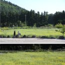 명도암참살이체험휴양마을 이미지