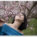 매화농장 이미지