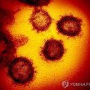 누리온누리약국 이미지