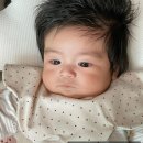 [공지] 20개월 아들과 함께하는 육아휴직 아빠 하와이 일년살기 200일 후기