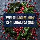 씨유도당누리점 | 잔티움나이트버닝 효능 내돈내산 후기 및 수면 다이어트 약국 가격 비교