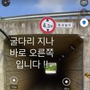 베일리펫케어 이미지