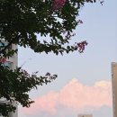 일공초밥 이미지