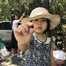한서유치원 - 익산시 | 한서유치원